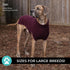 Shedrow K9 Brentwood Cable Knit Dog Sweater Plus XL Wine Tasting - Poudre Pet & Feed Supply 5